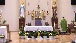 Live Mass