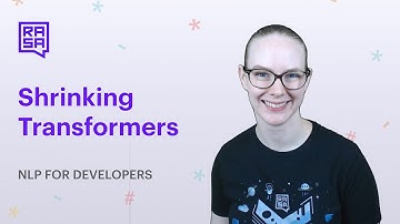 NLP for Developers: Shrinking Transformers | Rasa