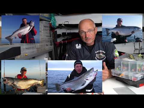 Wideo: Jezioro Ładoga: opis, głębokość, relief, ryba