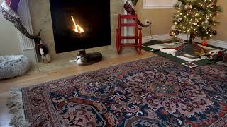 Ozra Rugs