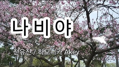 나비야_전유진#미스트롯#현역가왕/ 하모니카 A key/4k/ 선재작은농장tv