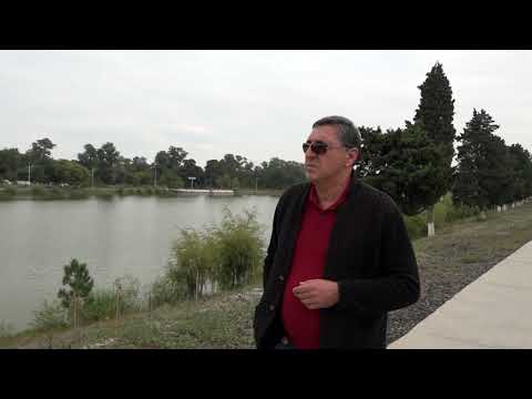 ჯელოვიჩი- დათო ერაძე. გაგიხსებებ.  jelovichi. dato  eradze.  gagixseneb