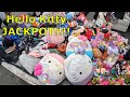 My First Toy Event. Jerseys, Vintage Toys, and Hello Kitty Plushes. WhatNot Family