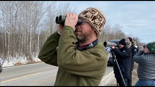 Judd Brink and Birding in Sax-Zim Bog