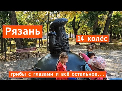 14 колес: Рязань, грибы с глазами и всё остальное