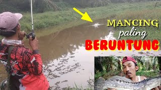 di luar dugaan casting di sarang ikan gabus bonus ikan toman // casting gabus // toman