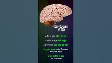 general knowledge || quiz | spinal cord I part-616