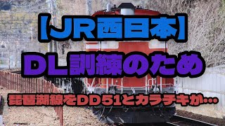 【JR西日本】冬の琵琶湖線にDD51が走る・・・