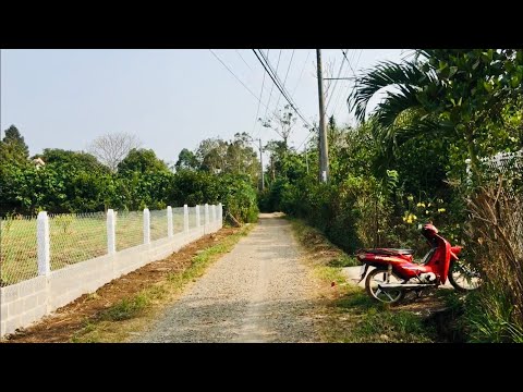 Video Bán đất vườn trái cây siêu đẹp 5377m2 ở Long Khánh... - youtube