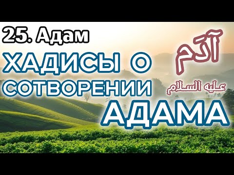 25. Сотворение Адама (мир ему) / «Истории пророков» (Адам)