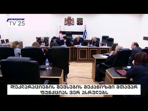 დეკლარაციების შევსების მექანიზმი მთავარ ფუნქციას ვერ ასრულებს