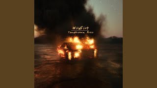 Celebrity Wild Fire Profile