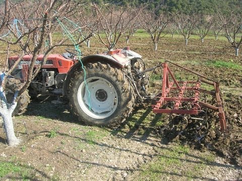 Βίντεο: Κοπριά κοτόπουλου ως λίπασμα: εκπληκτικό αποτέλεσμα