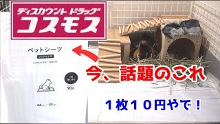 コスモスって知ってる？激安おしゃんなペットシーツ買ってみた！【モルモット】　I bought cheap pet sheets.【guineapig】