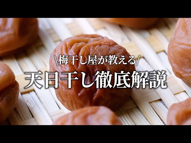 室内OK!】梅干し屋の天日干しの方法を徹底解説します - YouTube