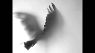 Uğur Eracil - Kuş Ölür Sen Uçuşu Hatırla (Füruğ Ferruhzad) Resimi