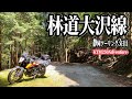 林道大沢線 静岡県小山町の林道をバイクで走る