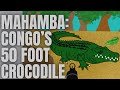 Mahamba Congo S Legendary 50 Foot Crocodile Mahamba Congo S Legendary 50 Foot Crocodile