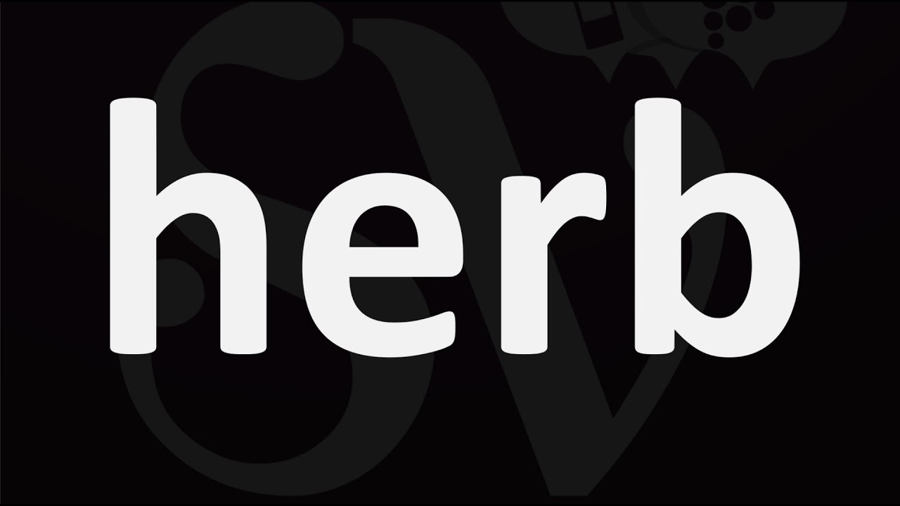 How to Pronounce HERB YouTube