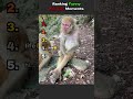 Ranking Best Monkey Moments pt2 🐒🤣 #funny #shorts