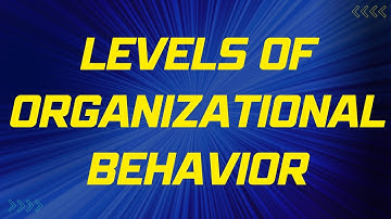 Understanding the Three Levels of Organizational Behavior: Micro, Meso, and Macro