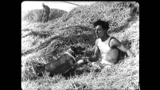 Buster Keaton - Modern Love