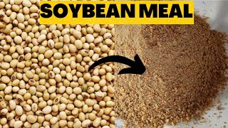 How to make soyabean meal for Poultry at home #poultryfarming #tipsonrearingpoultry