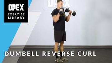 Dumbbell Reverse Curl - OPEX Exercise Library