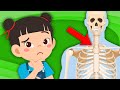 Learn ALL About Spare Ribs! | Human Body Songs For Kids | KLT Anatomy