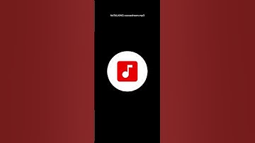 CocoaDream - No Talking