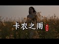 鱼儿七 卡农之雨 Yu Er Qi Qia Nong Zhi Yu 是不是长大以后 就变不快乐 好像儿时的憧憬 都是骗人的 是不是很多委屈 没有人诉说 动态歌词MV 完整版 鱼儿七 卡农之雨 Yu Er Qi Qia Nong Zhi Yu 是不是长大以后 就变不快乐 好像儿时的憧憬 都是骗人的 是不是很多委屈 没有人诉说 动态歌词MV 完整版