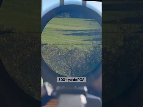 Gunnr Optics 1-10x LPVO One Of My Favorite Scopes (New Company)