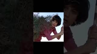 Funny Shahamrug Scene