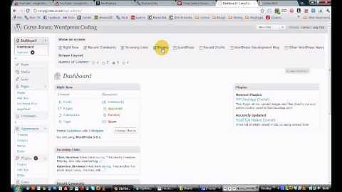 The Dashboard - Wordpress in 30 Seconds