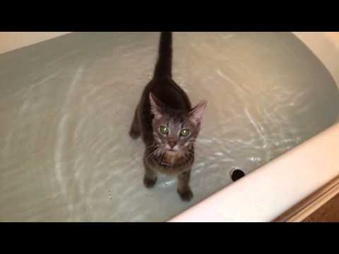 Enix playing in the tub