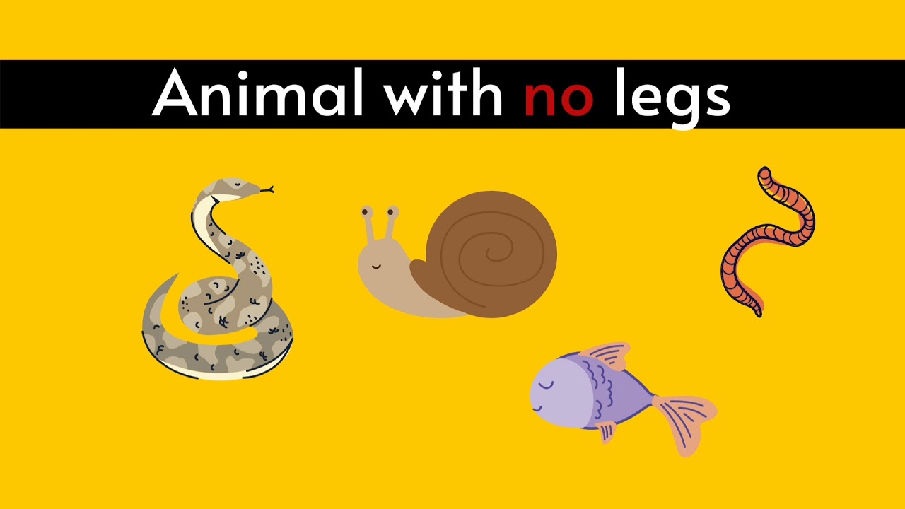 What animals have no legs?