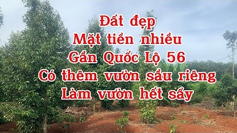 Bán đất trả nợ cho Con , Anh Dũng đứt ruột bán đi mảnh đất vườn đẹp gần Trung Tâm Xã Bàu Chinh .