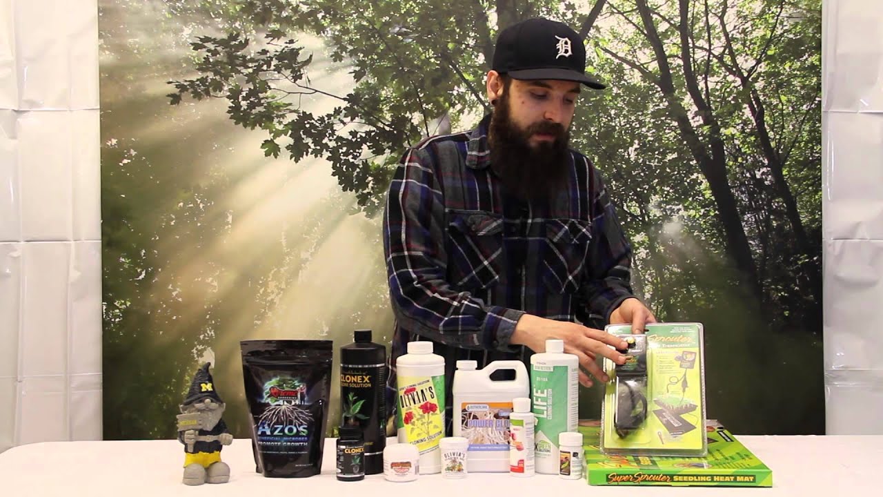 Cloning Gel, Hydroponic Solutions and What to Look Out for When Taking Clones