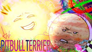 ꧁ PITBULL TERRIER | Solarballs Fan Animation | IB: rambyte & junedotzip ꧂