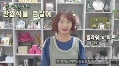 함양플라워&아트_관엽식물 분갈이