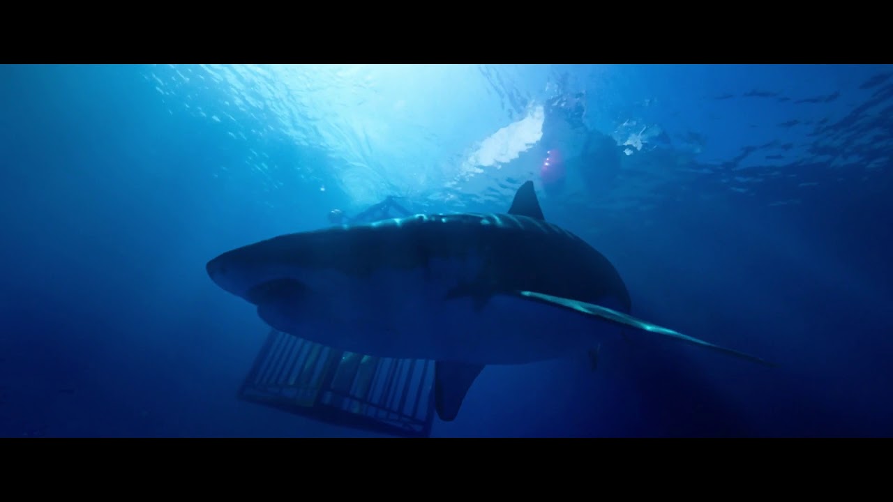 47 METERS DOWN - Bande-Annonce (VOST)