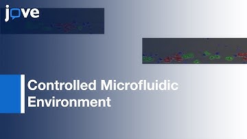 Dynamic Investigation Of Red Blood Cell Aggregation l Protocol Preview