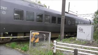 JR九州　 787系 特急きりしま5号宮崎駅～鹿児島中央駅（ 6005M ）　祇園之洲踏切　撮影日2024.4.12