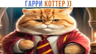 ГАРРИ КОТТЕР ))) Приколы про Гарри Поттера| Мемозг 1390