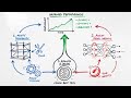 SIA: Self-Improving AI with Harness & Weight Updates