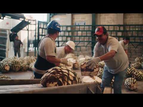 Video: Tanya Jawab Dengan Godfather Of Tequila: Arturo Fuentes Dari Cenote