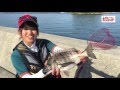 釣りガールみさきちゃんのチヌフカセ釣り