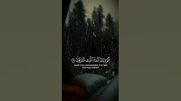 القرأن الكريم ارح سمعك #تلاوات_خاشعة #راحة_نفسية_للقلب #quran #viral #foryou