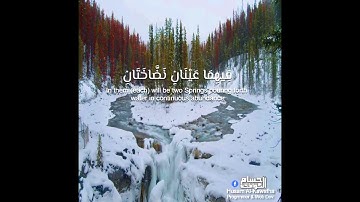 وَلِمَنْ خَافَ مَقَامَ رَبِّهِ جَنَّتَانِ ..."]  | 🌹 آيات كريم من سورة الرحمن 🌹 | القارئ احمد خضر "]