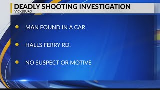 Man killed in car on Halls Ferry Rd, Vicksburg